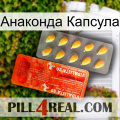 Анаконда Капсула new01